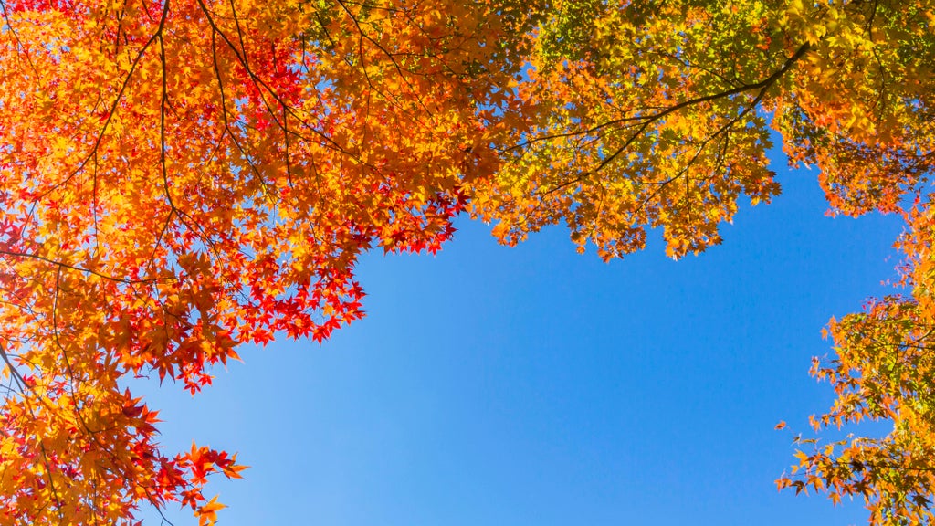 Sunny Friday in Twin Cities with mostly dry Halloween weekend — Shakopee Sports news