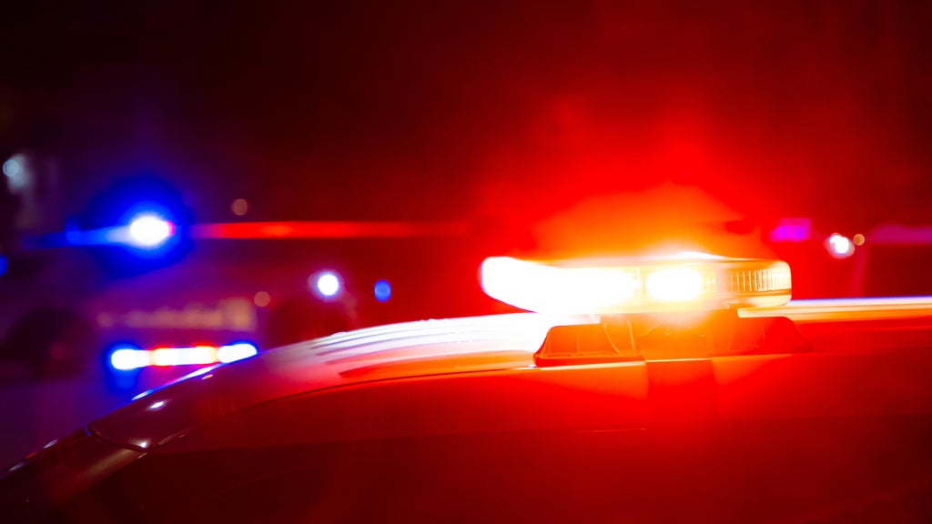 Driver killed in head-on collision with semi in central Minnesota — Shakopee Sports news