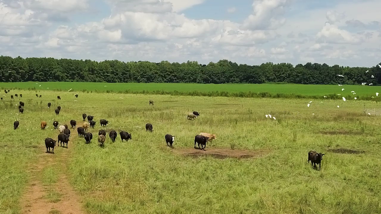 5 ON YOUR SIDE: Regenerative agriculture — Shakopee Health news