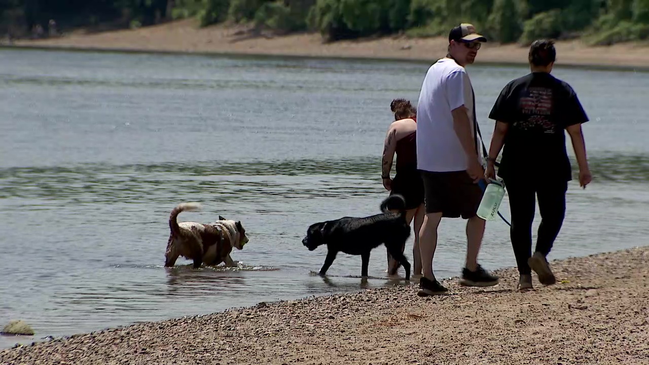 Minnehaha Dog Park ending off-leash use in December despite public outcry — Shakopee Community news